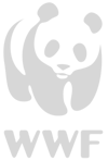 Logo WWC